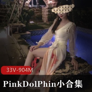 精选模特美女身材展示PinkDolPhin小合集